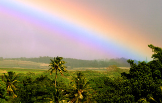 ハワイの虹.jpg